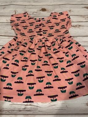 Hanna daisy tunic dress vguc 100